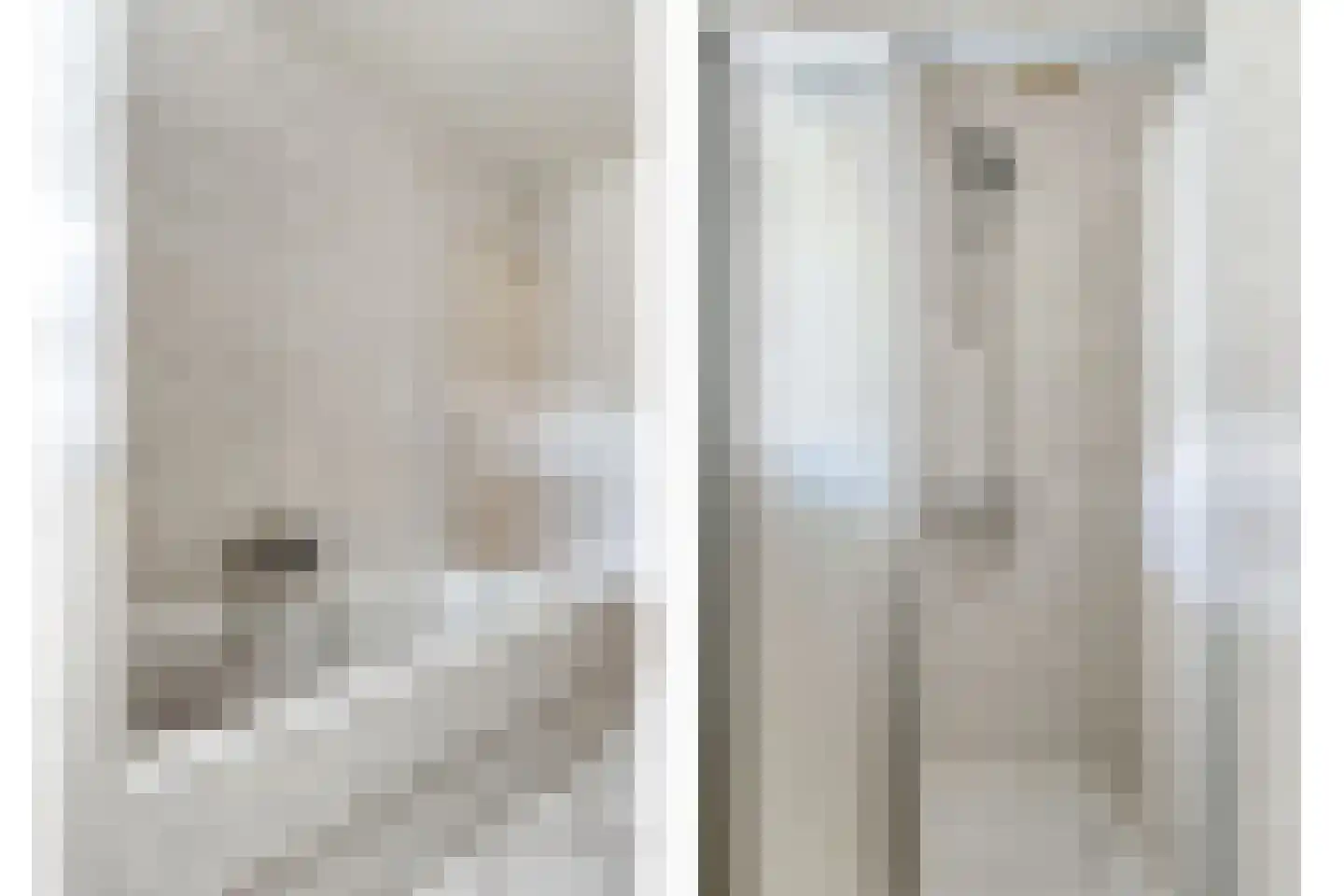 Pandelaar 77 Gemert thumbnail 15