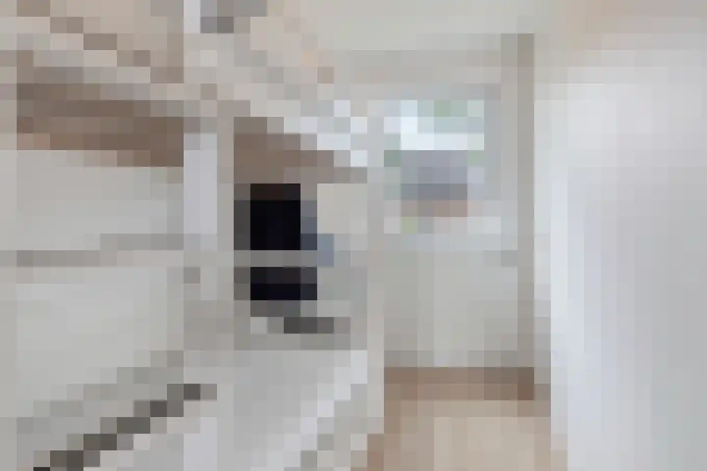 Pandelaar 77 Gemert thumbnail 16