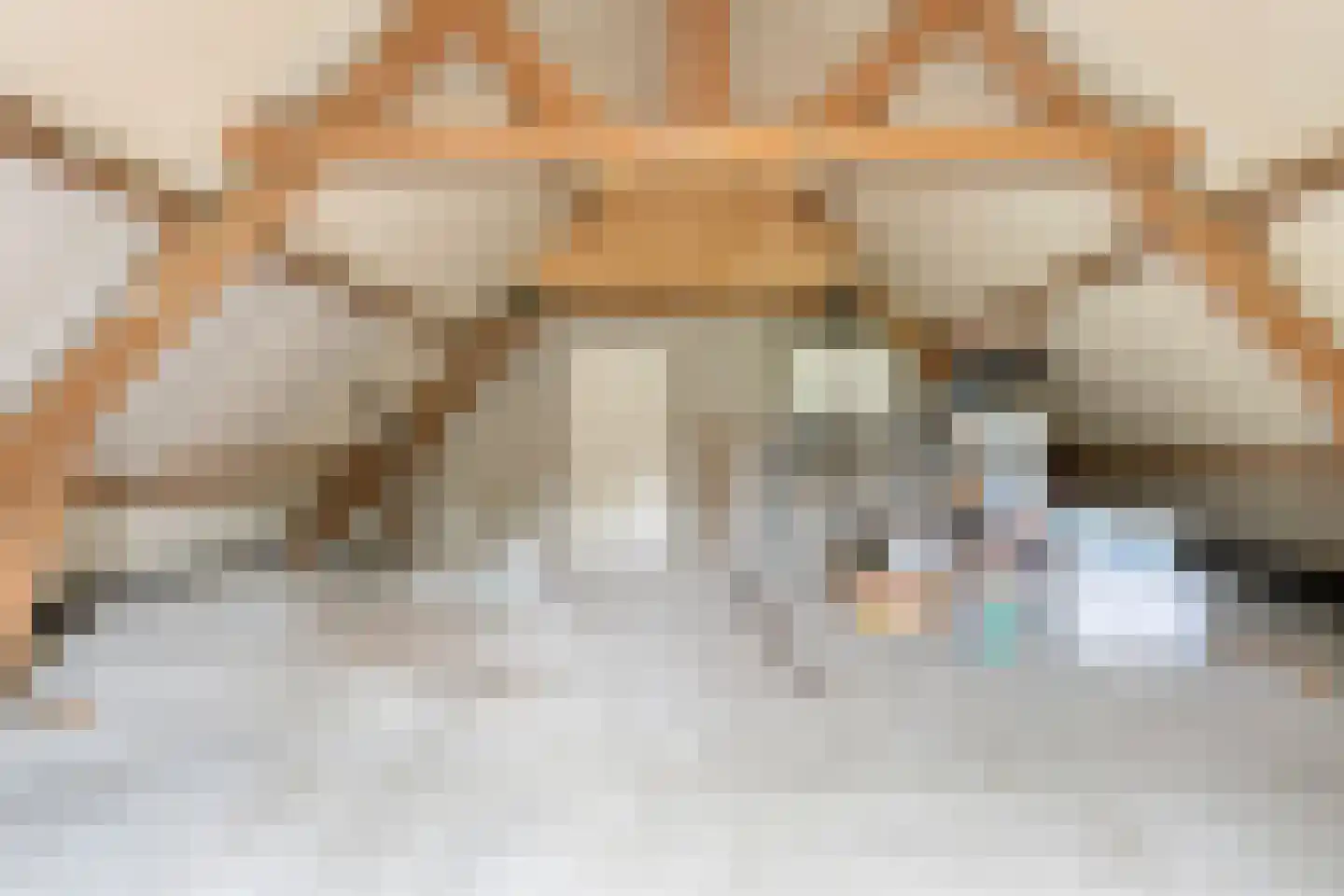 Pandelaar 77 Gemert thumbnail 22