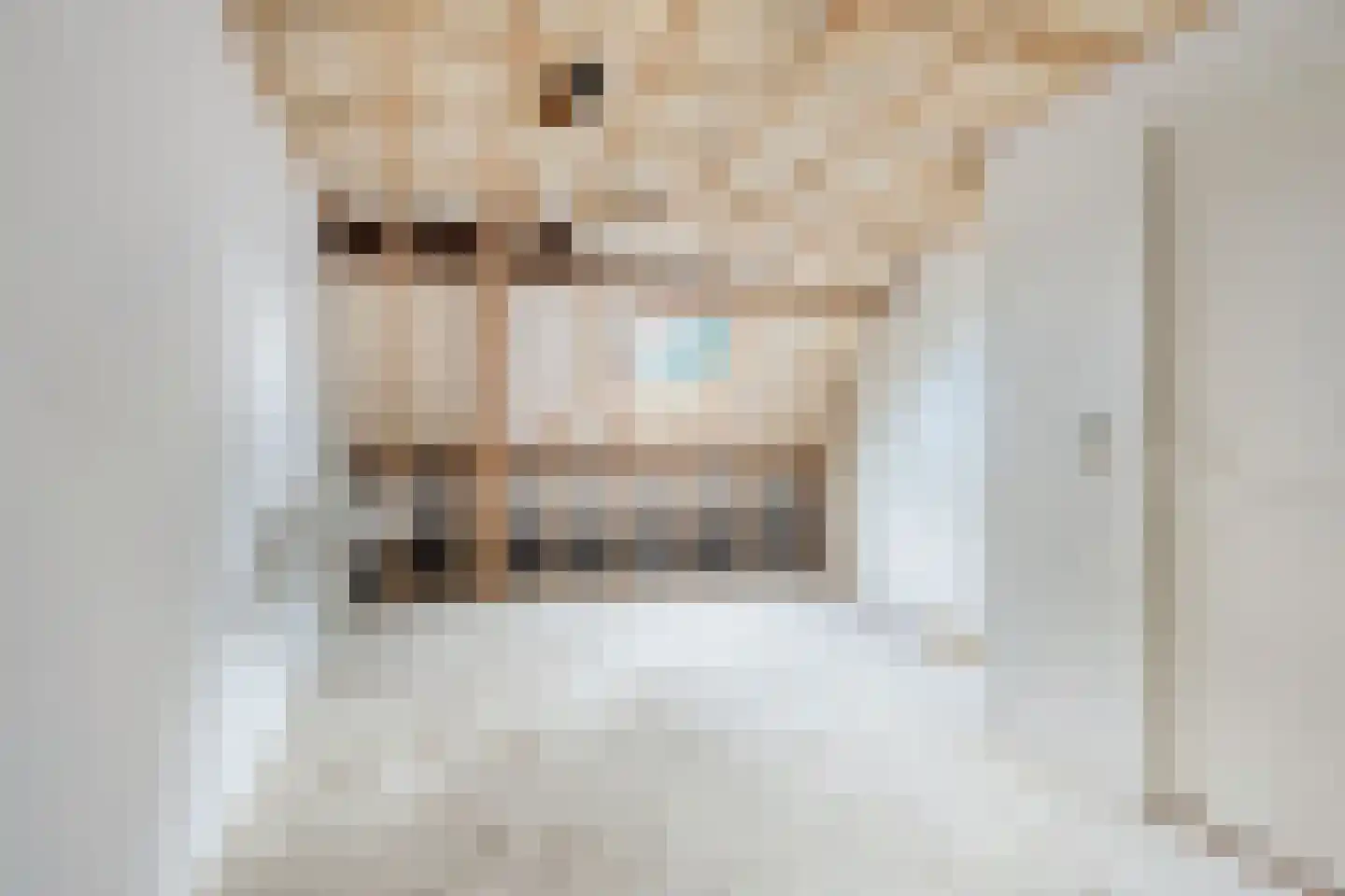 Pandelaar 77 Gemert thumbnail 23