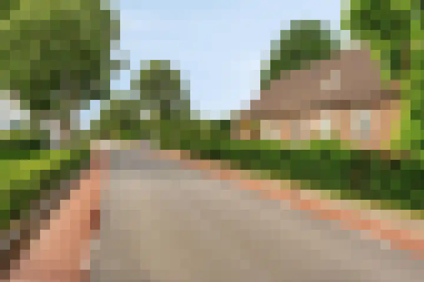 Pandelaar 77 Gemert thumbnail 32