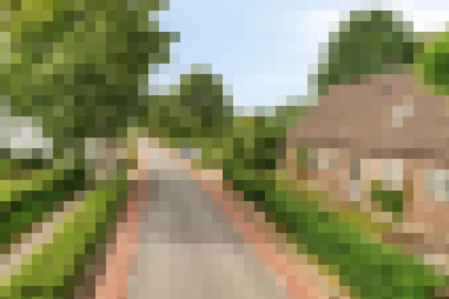 Pandelaar 77 Gemert thumbnail 33