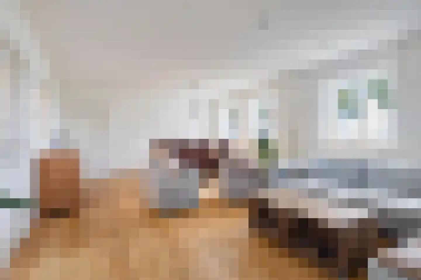 Pandelaar 77 Gemert thumbnail 6