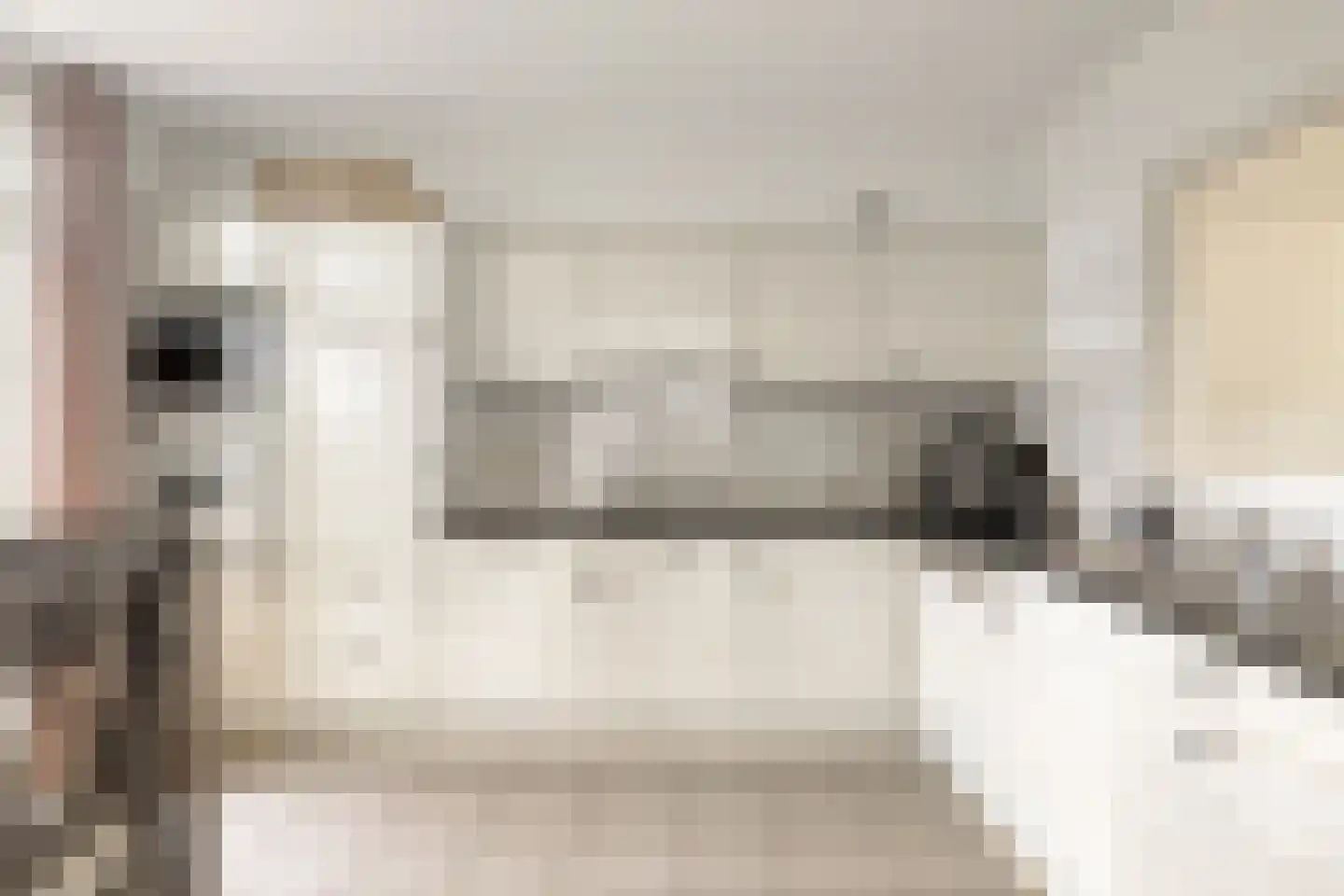 Pandelaar 77 Gemert thumbnail 8