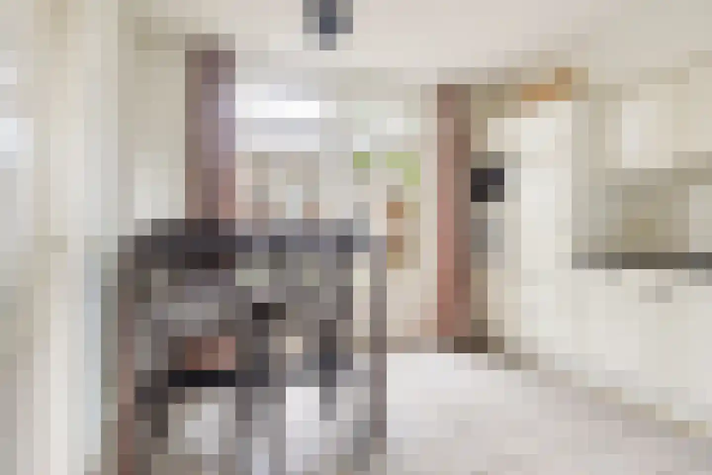 Pandelaar 77 Gemert thumbnail 9