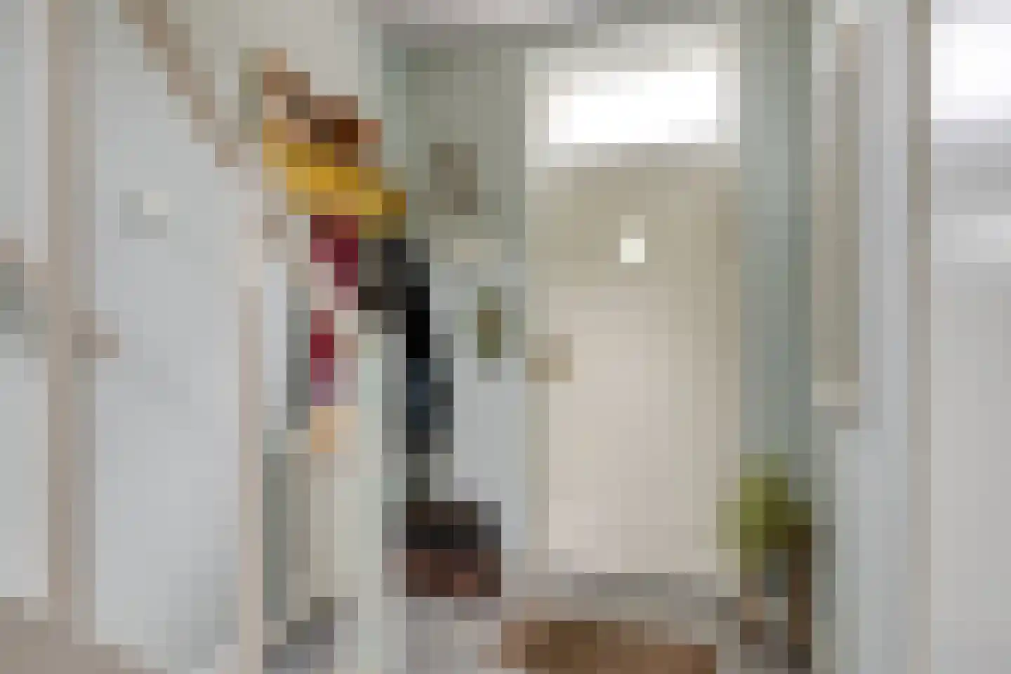Pandelaar 79 Gemert thumbnail 11