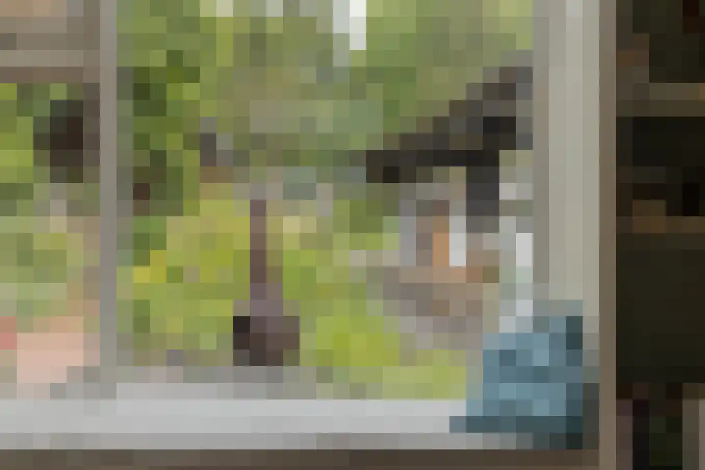 Pandelaar 79 Gemert thumbnail 17
