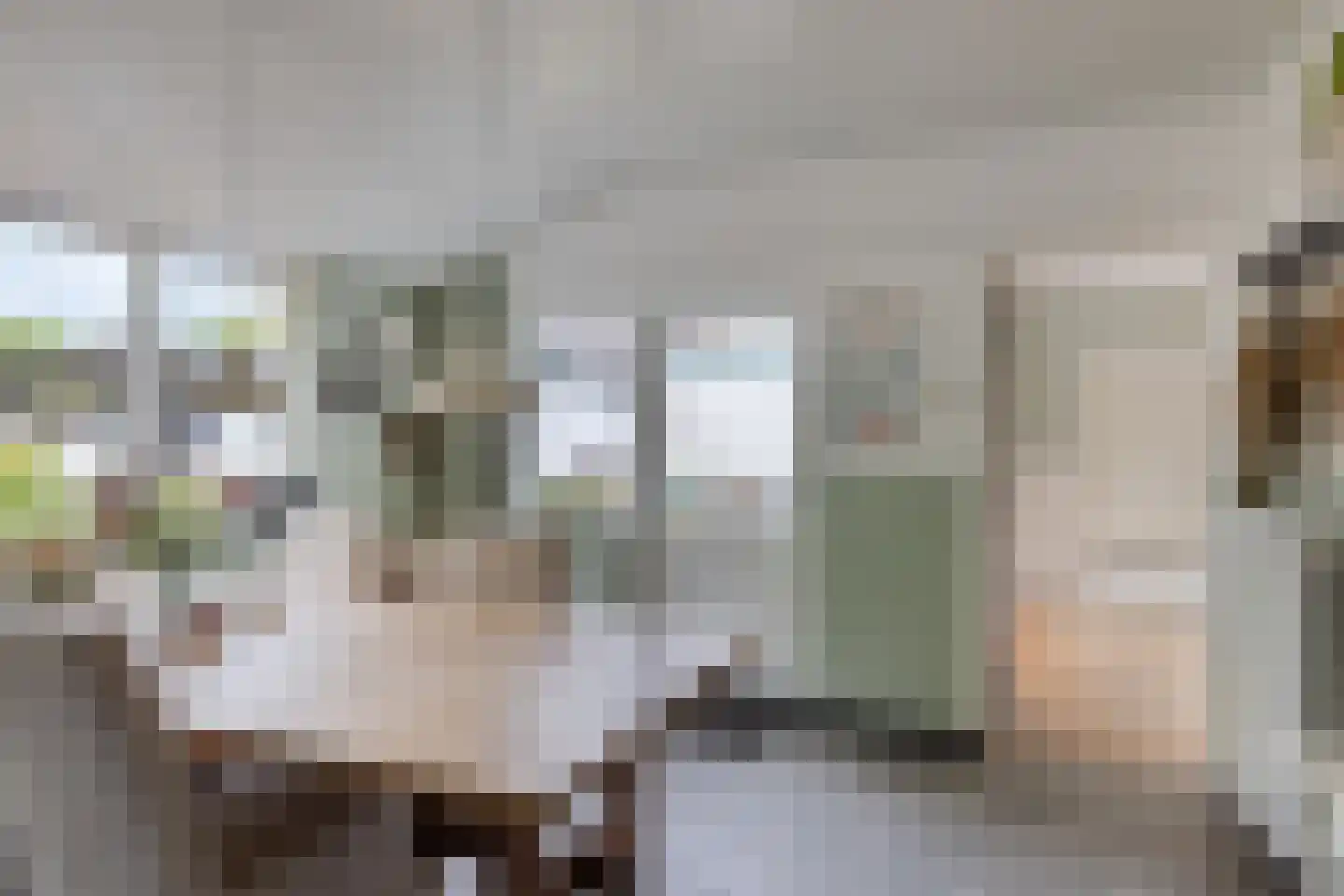 Pandelaar 79 Gemert thumbnail 21