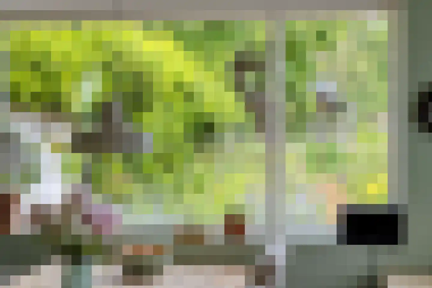 Pandelaar 79 Gemert thumbnail 22
