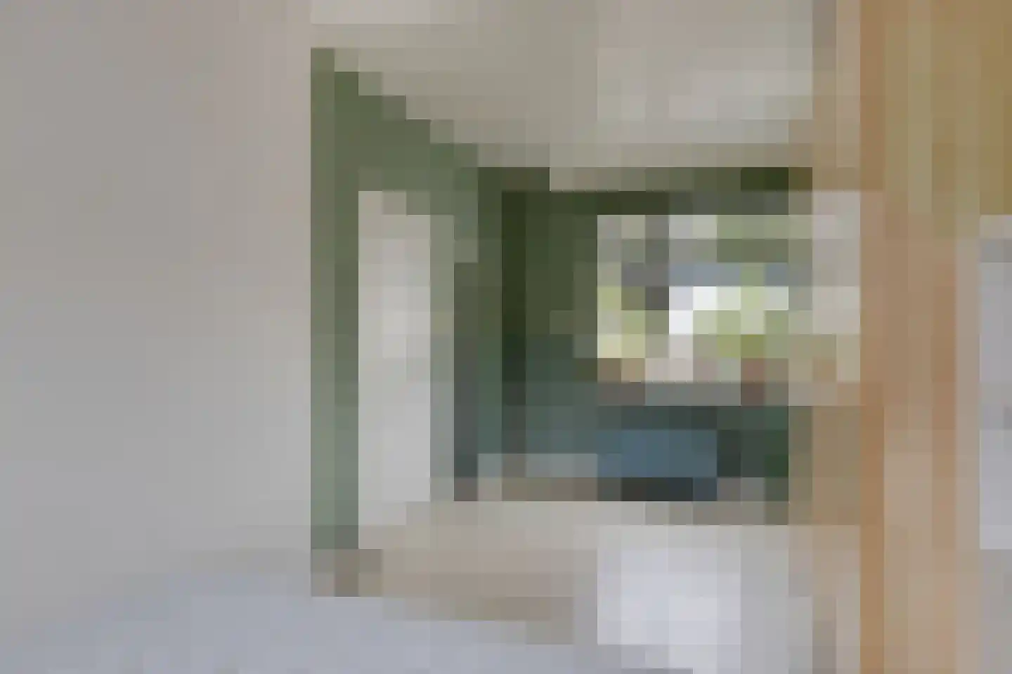 Pandelaar 79 Gemert thumbnail 24