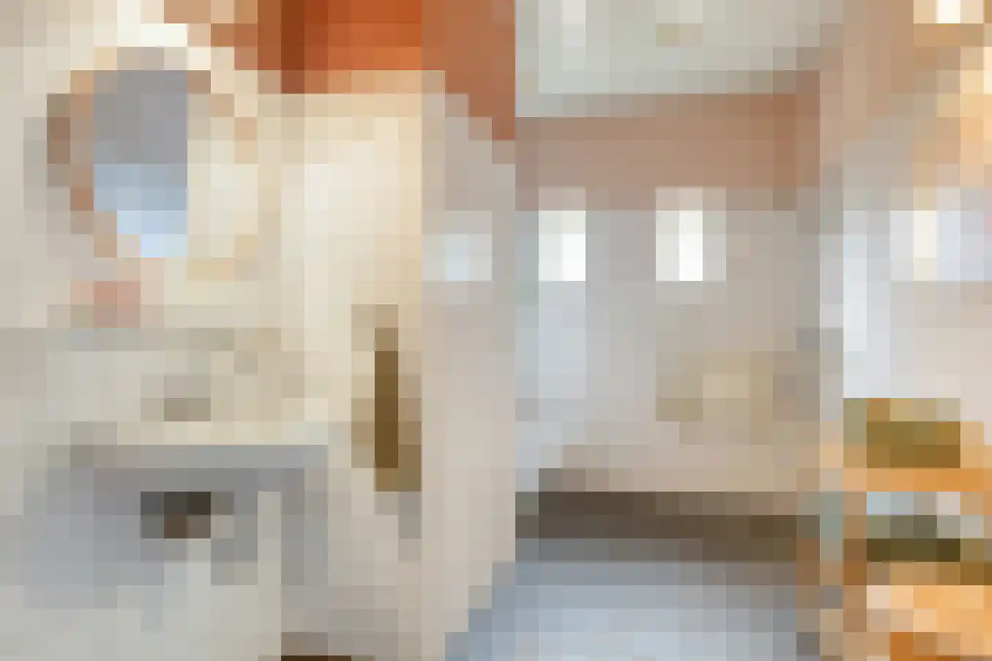 Pandelaar 79 Gemert thumbnail 25