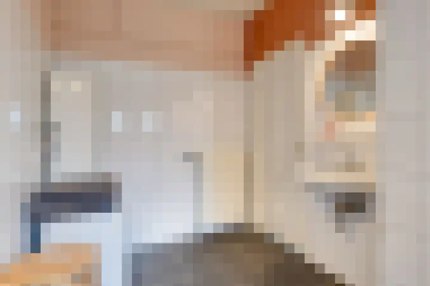 Pandelaar 79 Gemert thumbnail 26