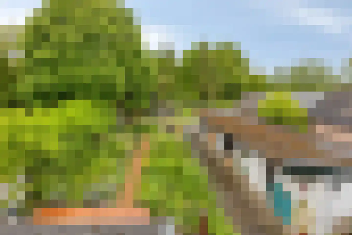 Pandelaar 79 Gemert thumbnail 30