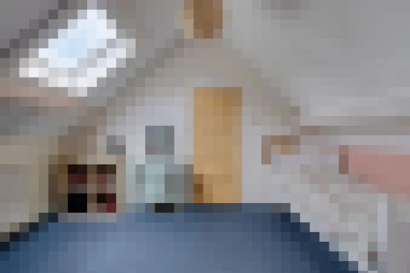 Pandelaar 79 Gemert thumbnail 31
