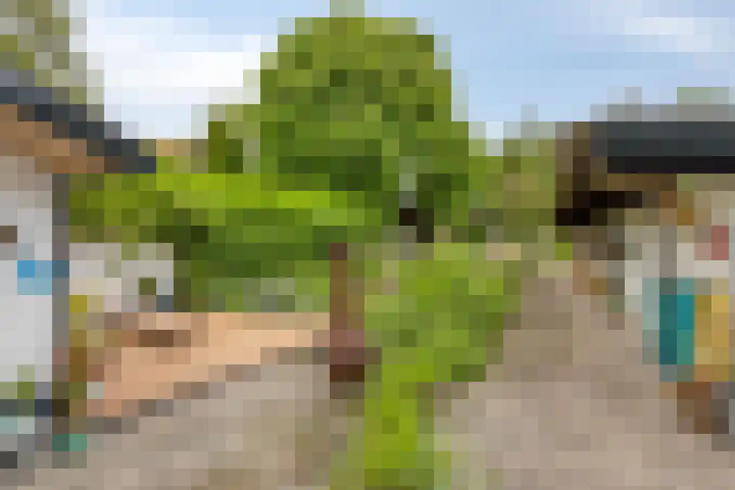 Pandelaar 79 Gemert thumbnail 36