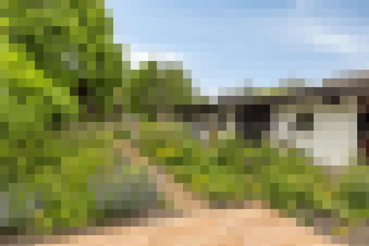 Pandelaar 79 Gemert thumbnail 39
