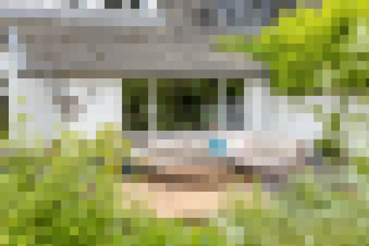 Pandelaar 79 Gemert thumbnail 41