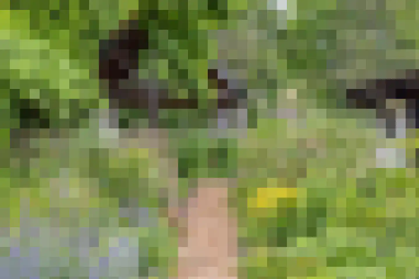 Pandelaar 79 Gemert thumbnail 42