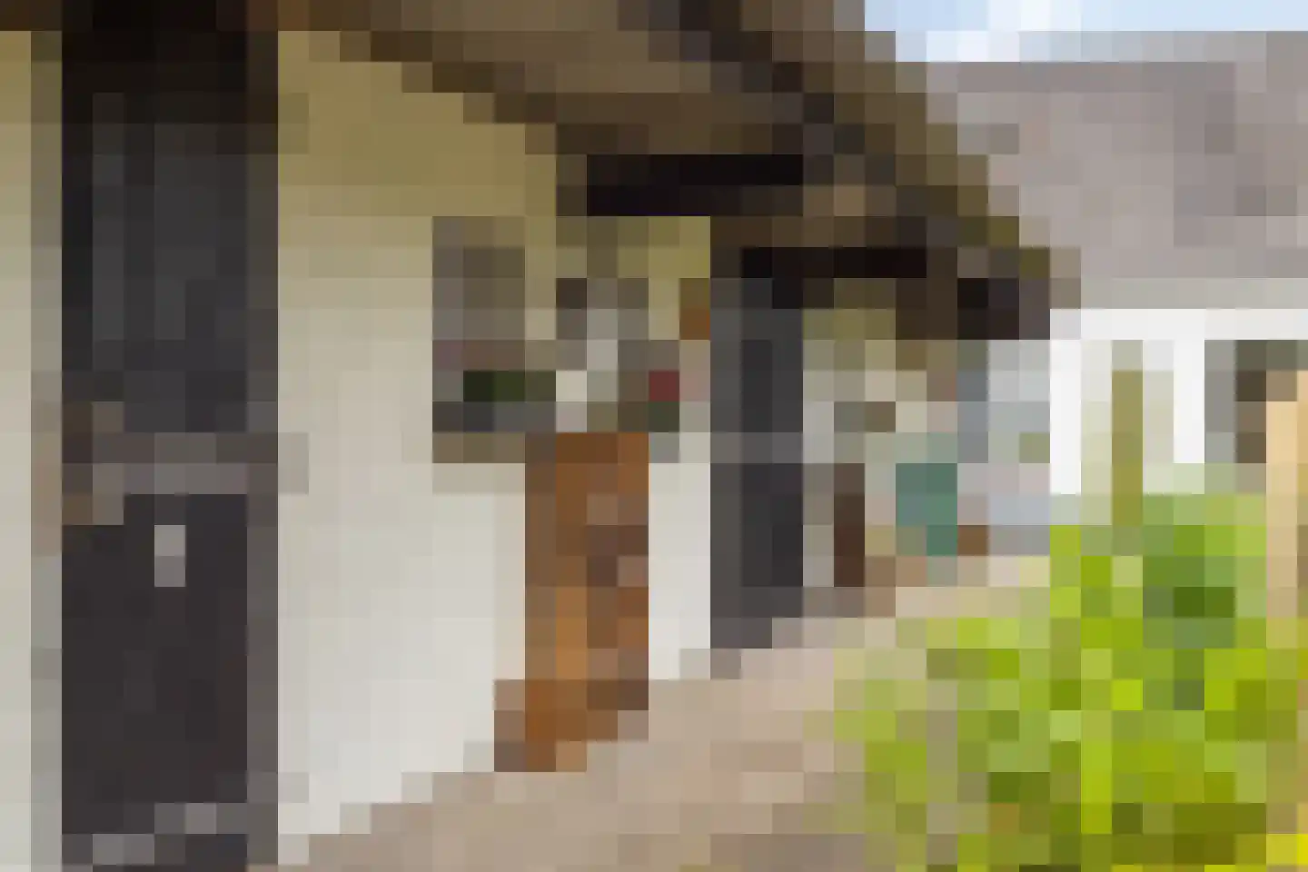 Pandelaar 79 Gemert thumbnail 44