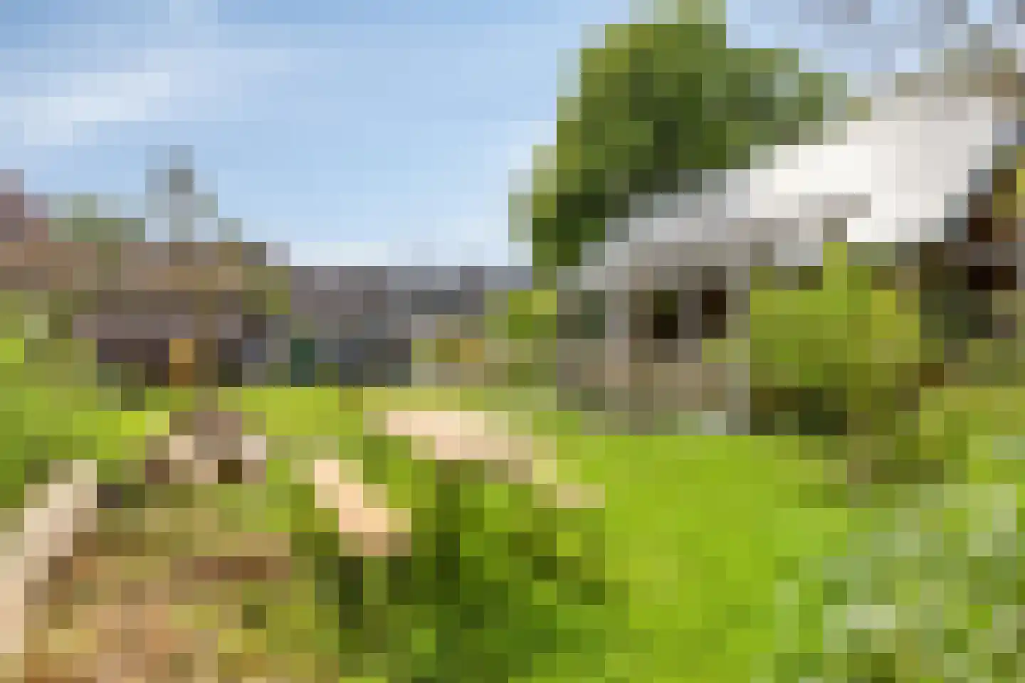 Pandelaar 79 Gemert thumbnail 46