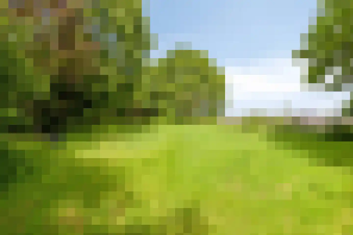 Pandelaar 79 Gemert thumbnail 48