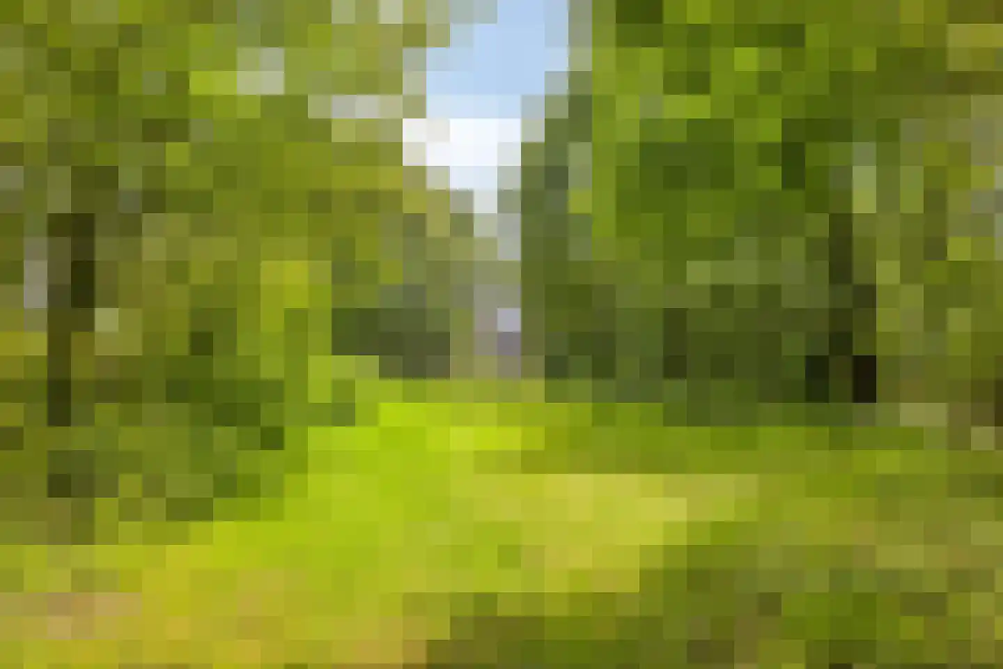 Pandelaar 79 Gemert thumbnail 5