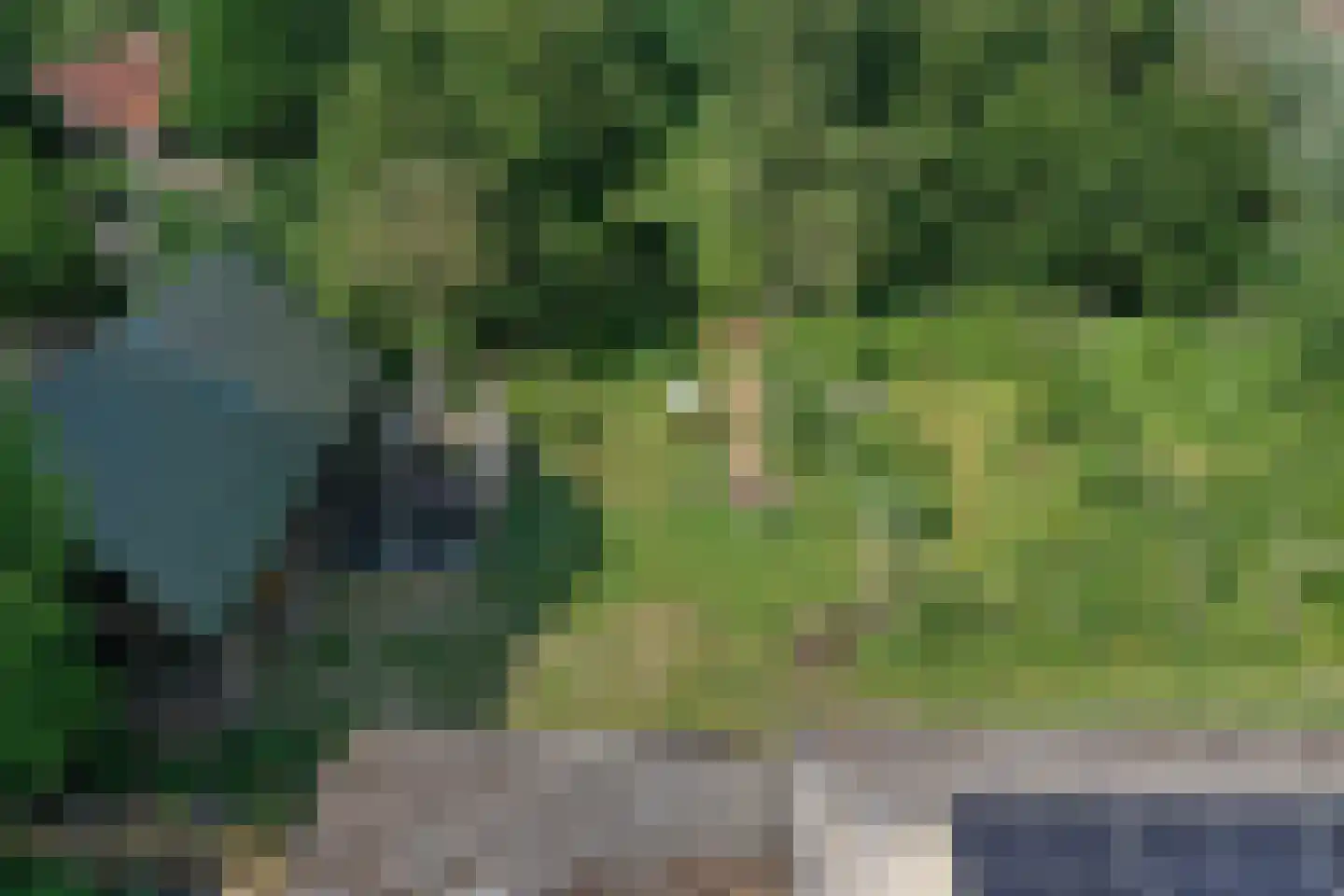 Pandelaar 79 Gemert thumbnail 58