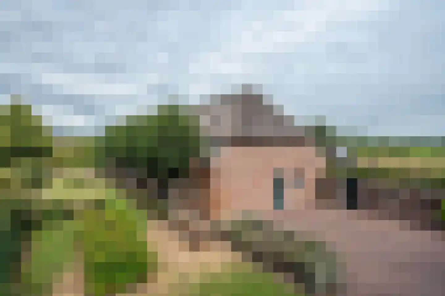 Pandelaar 87 Gemert thumbnail 10