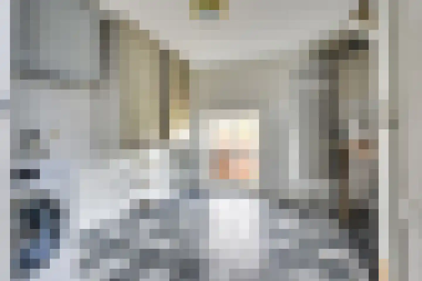 Pandelaar 87 Gemert thumbnail 13