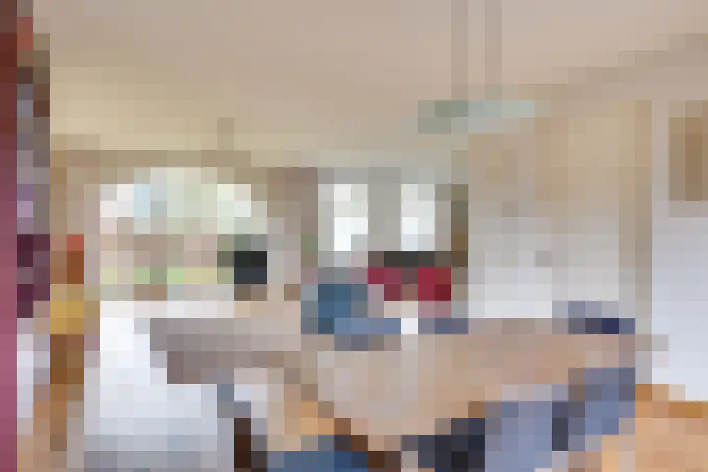 Pandelaar 87 Gemert thumbnail 14