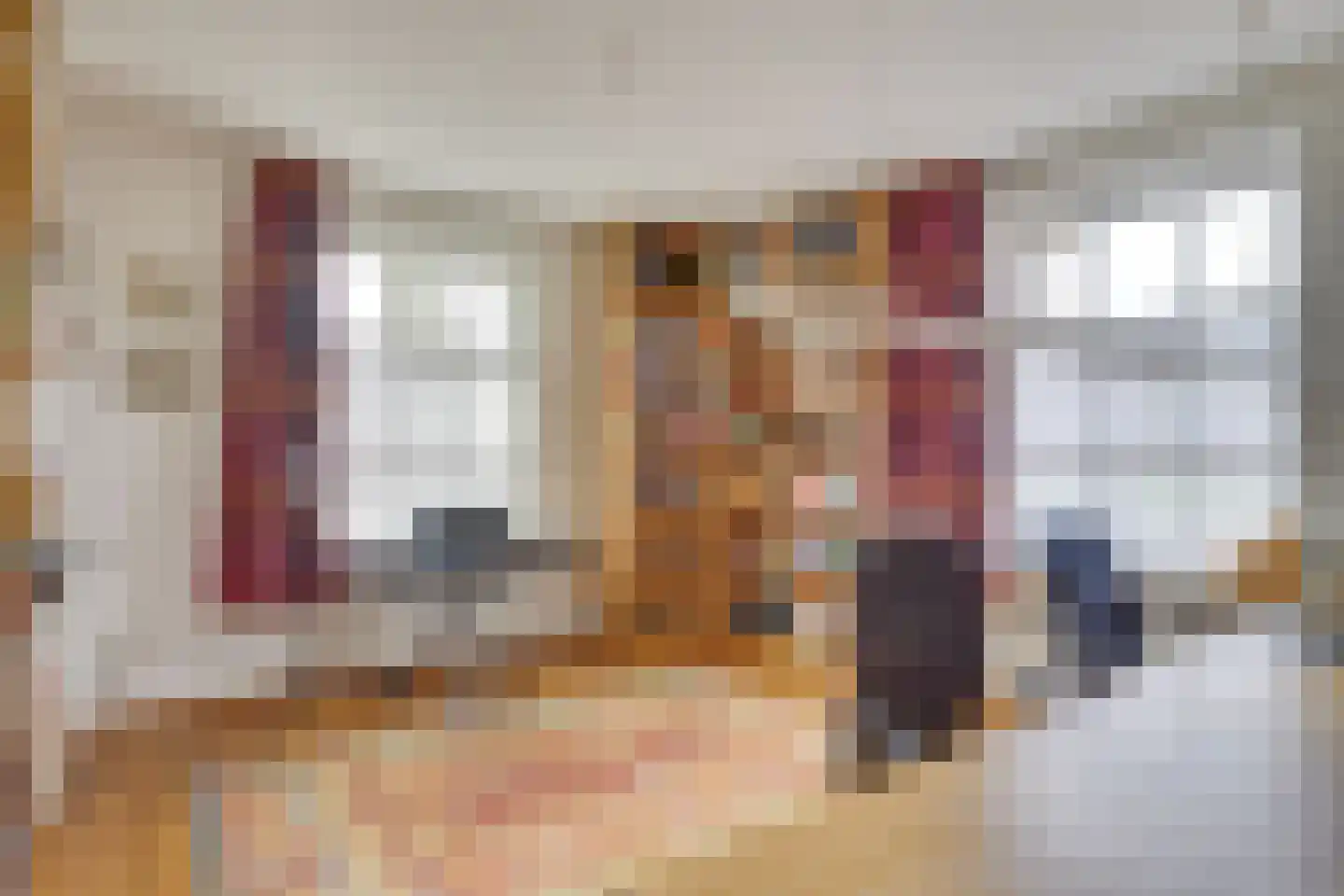 Pandelaar 87 Gemert thumbnail 14