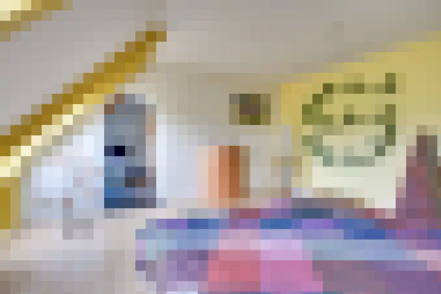 Pandelaar 87 Gemert thumbnail 15
