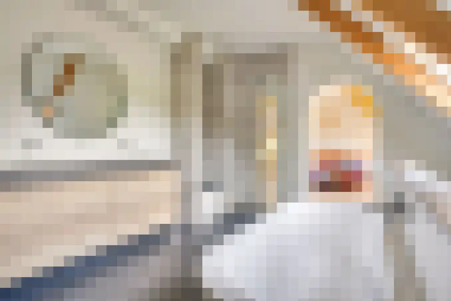 Pandelaar 87 Gemert thumbnail 16