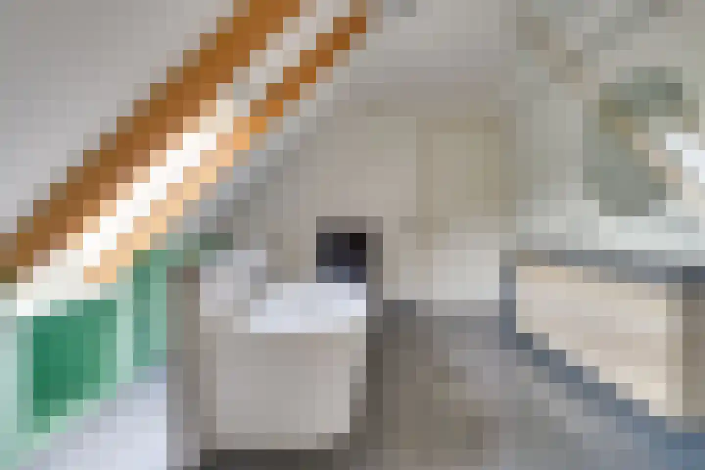 Pandelaar 87 Gemert thumbnail 17