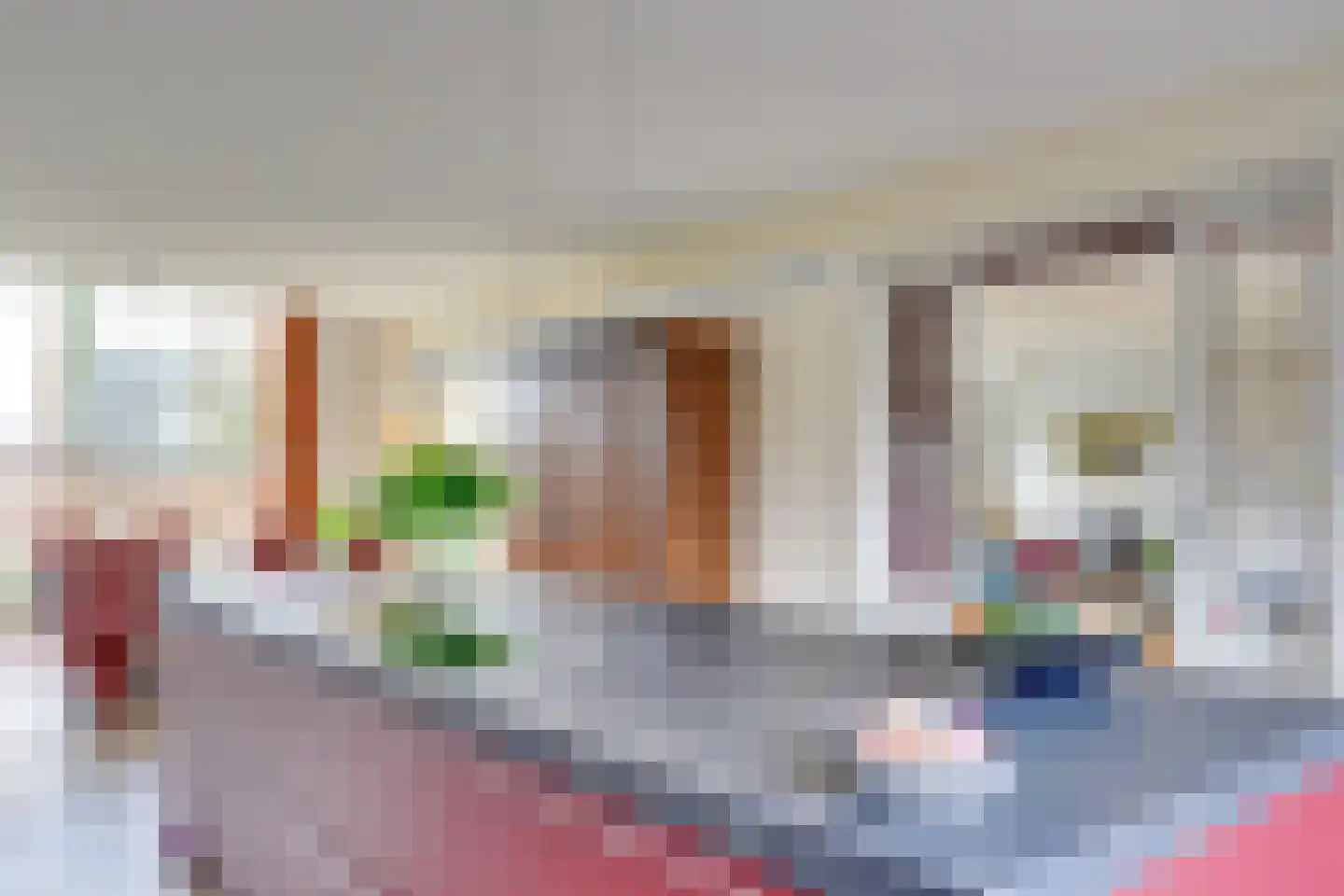 Pandelaar 87 Gemert thumbnail 20