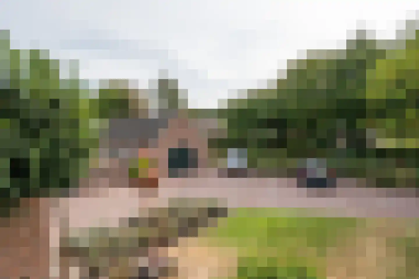 Pandelaar 87 Gemert thumbnail 23