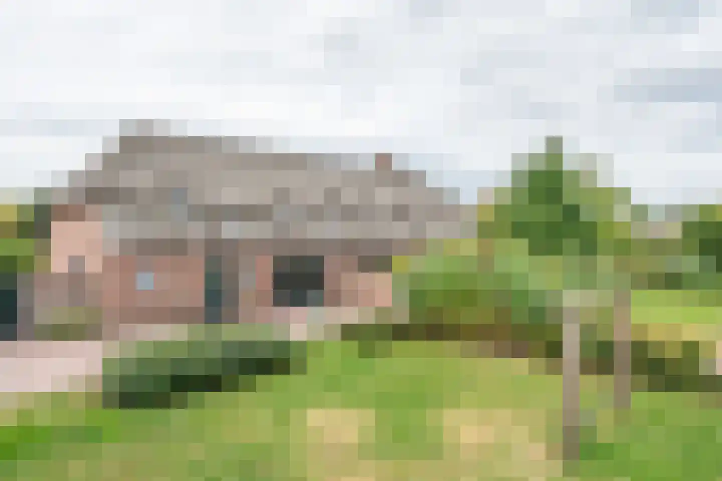 Pandelaar 87 Gemert thumbnail 24