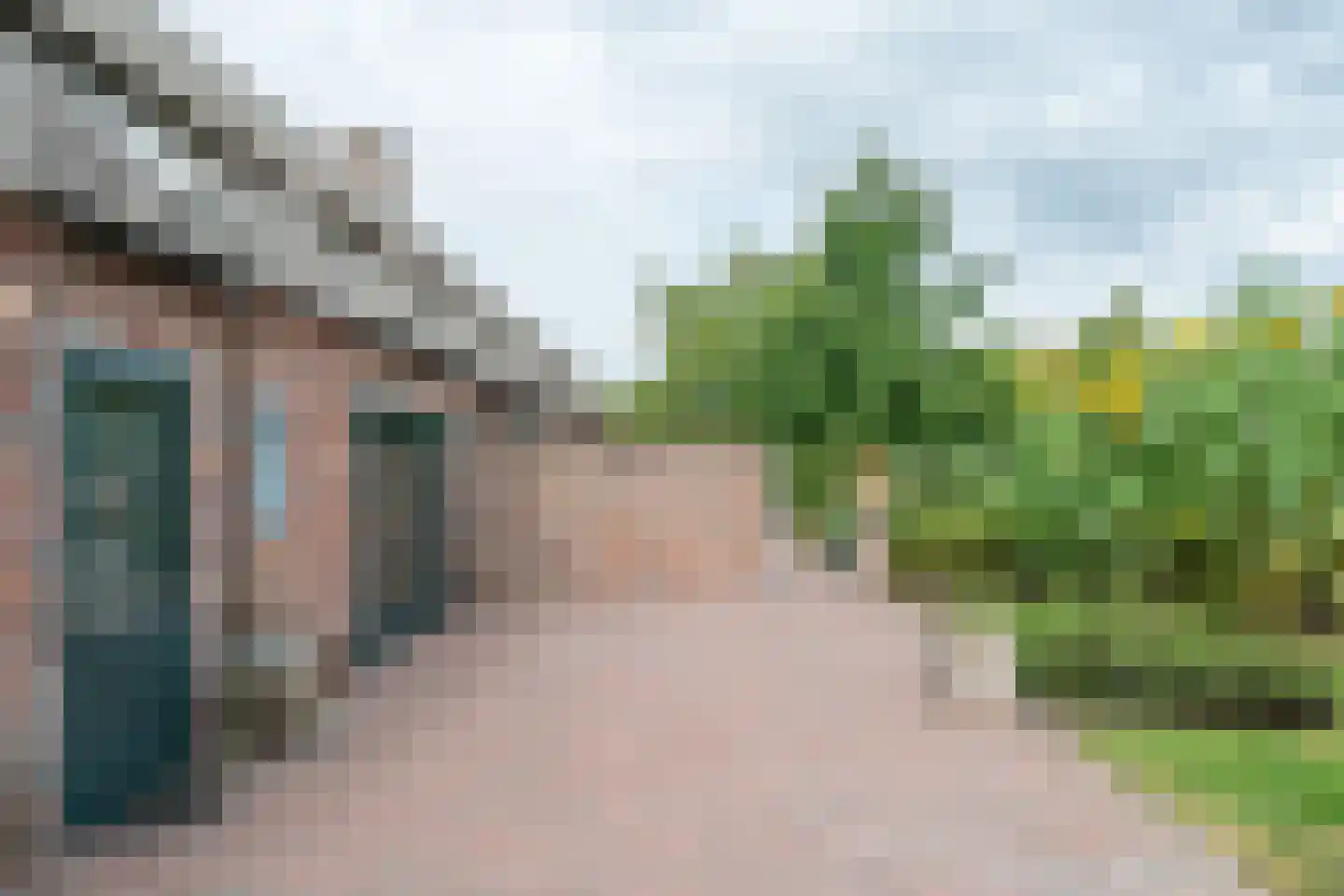 Pandelaar 87 Gemert thumbnail 25