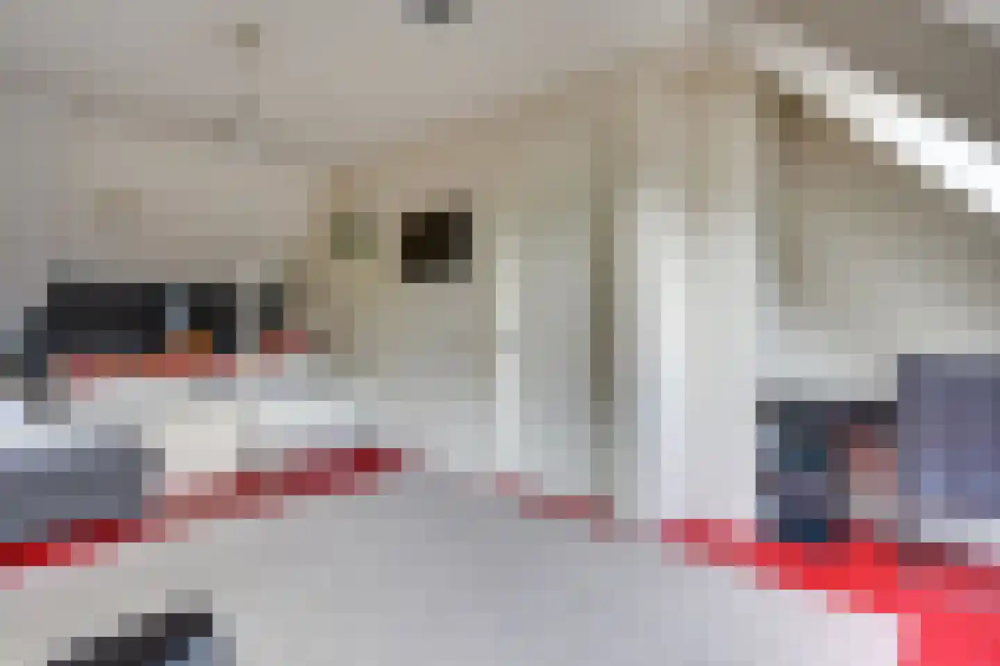 Pandelaar 87 Gemert thumbnail 26