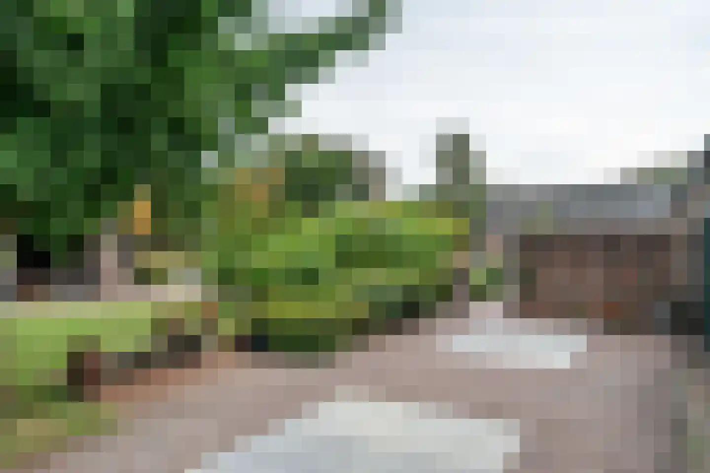 Pandelaar 87 Gemert thumbnail 26