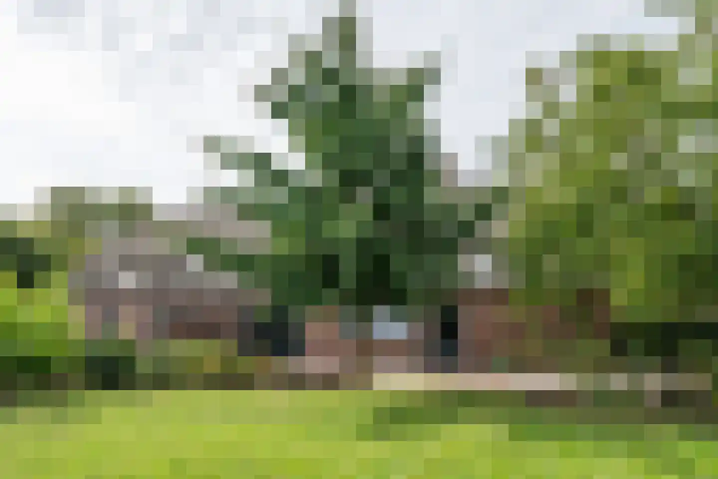 Pandelaar 87 Gemert thumbnail 27