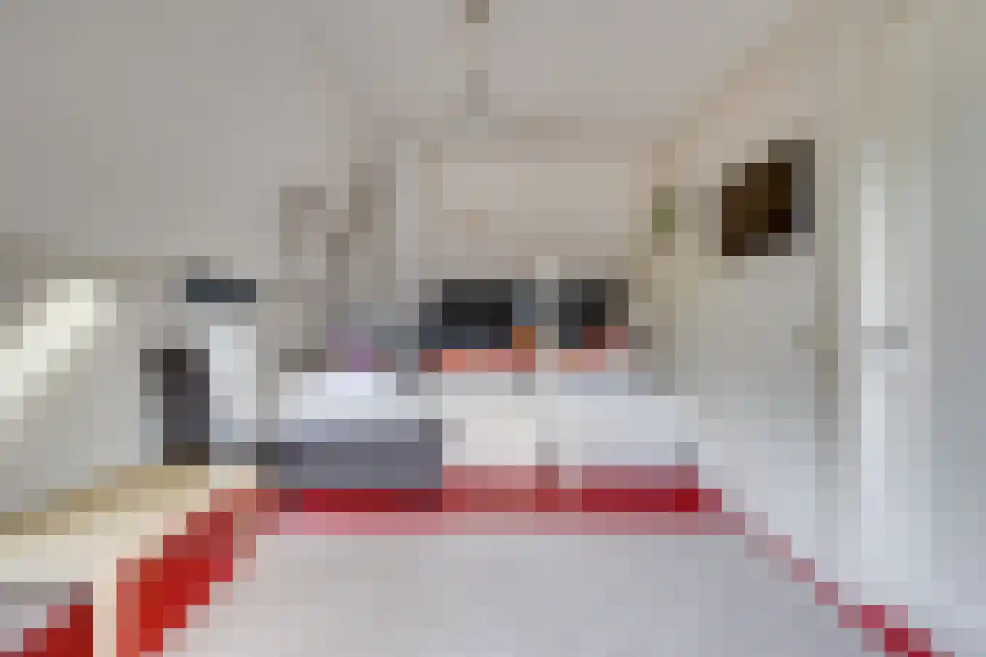 Pandelaar 87 Gemert thumbnail 27