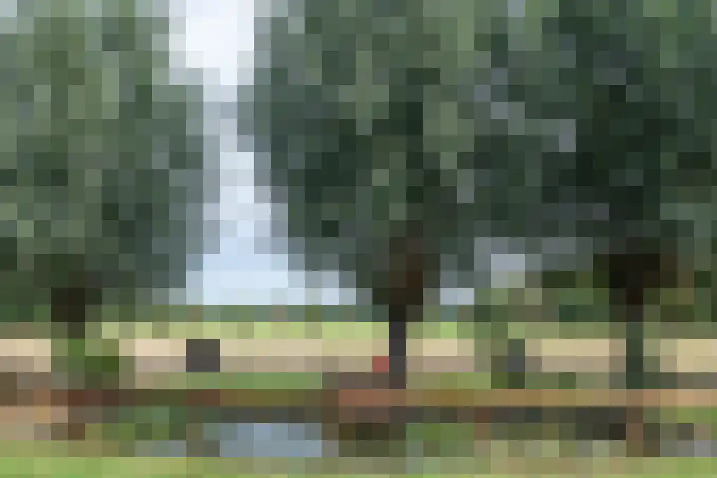 Pandelaar 87 Gemert thumbnail 28