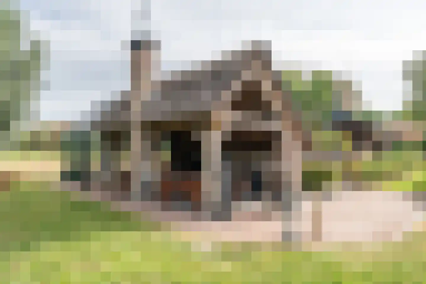 Pandelaar 87 Gemert thumbnail 32
