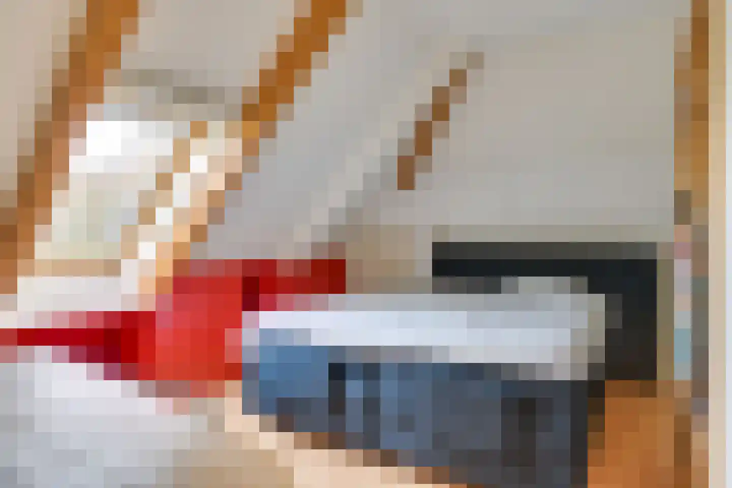 Pandelaar 87 Gemert thumbnail 32