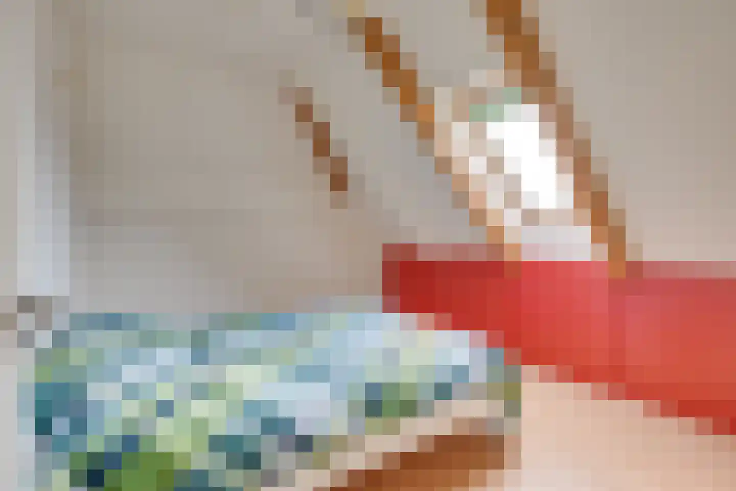 Pandelaar 87 Gemert thumbnail 33