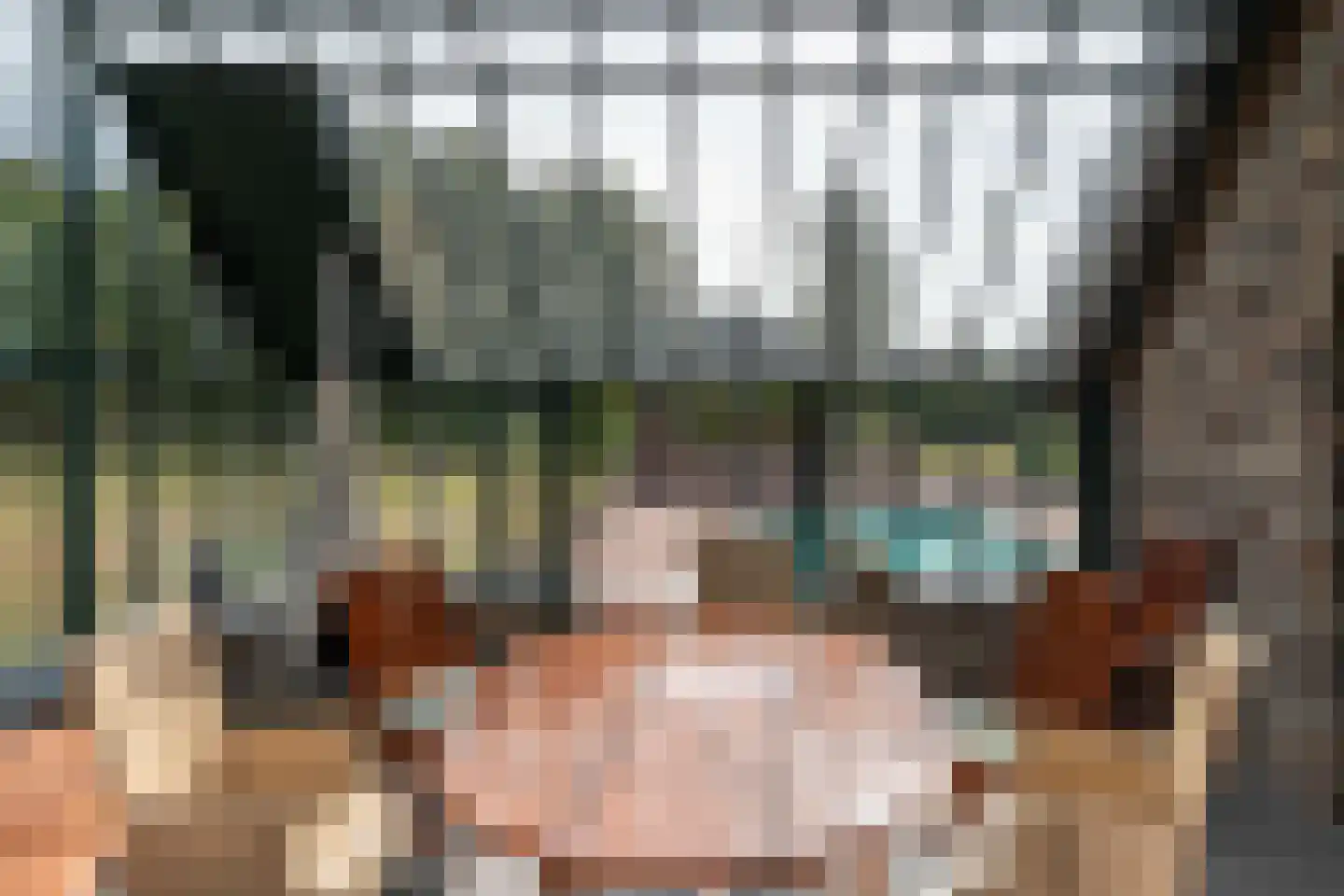 Pandelaar 87 Gemert thumbnail 34
