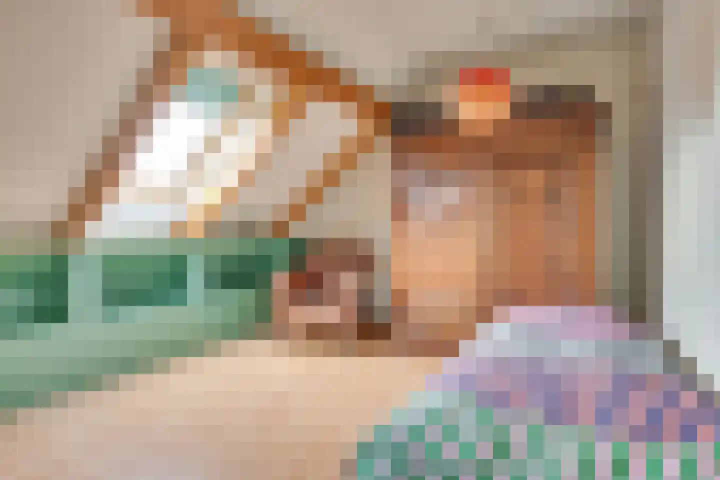 Pandelaar 87 Gemert thumbnail 34