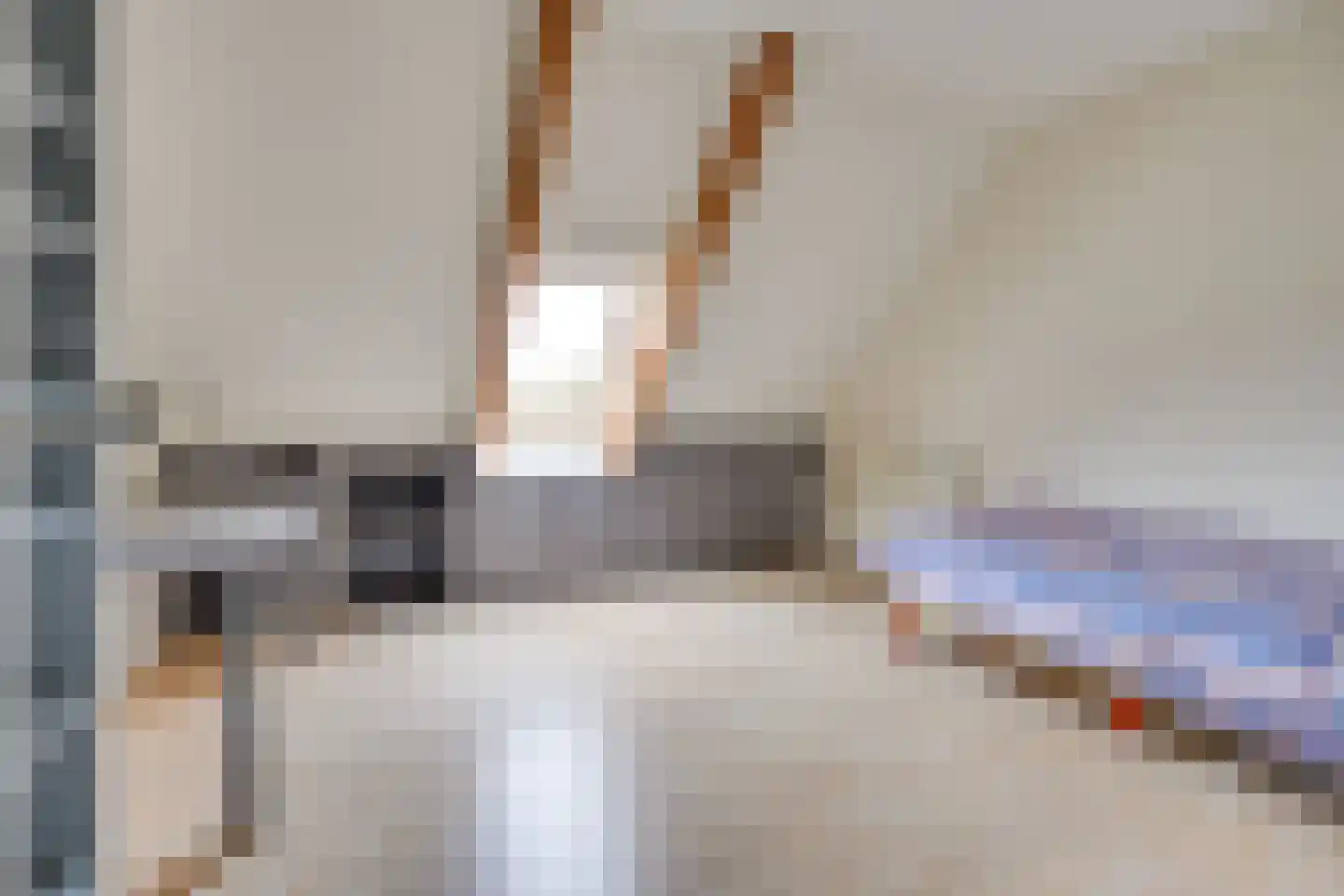 Pandelaar 87 Gemert thumbnail 35