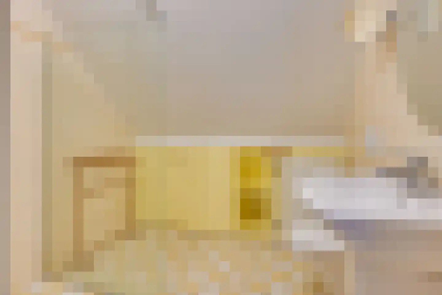 Pandelaar 87 Gemert thumbnail 36